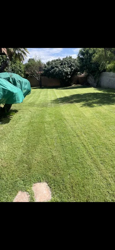 Expert landscaping services in Cathedral City, CA - I.C Gardening