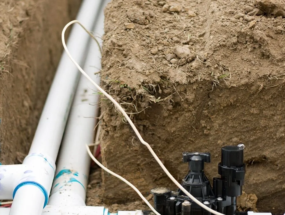 Reliable yard cleanup service for homes in Cathedral City, CA by I.C Gardening