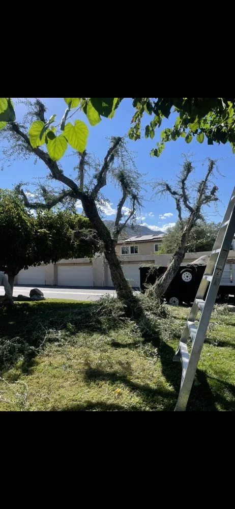 Top-rated landscape installation for residential properties across Cathedral City, CA - I.C Gardening