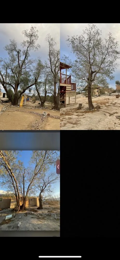 Affordable residential landscaping for year-round maintenance in Cathedral City, CA by I.C Gardening