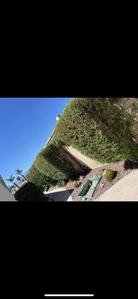 Trusted residential landscaping in Cathedral City, CA - I.C Gardening