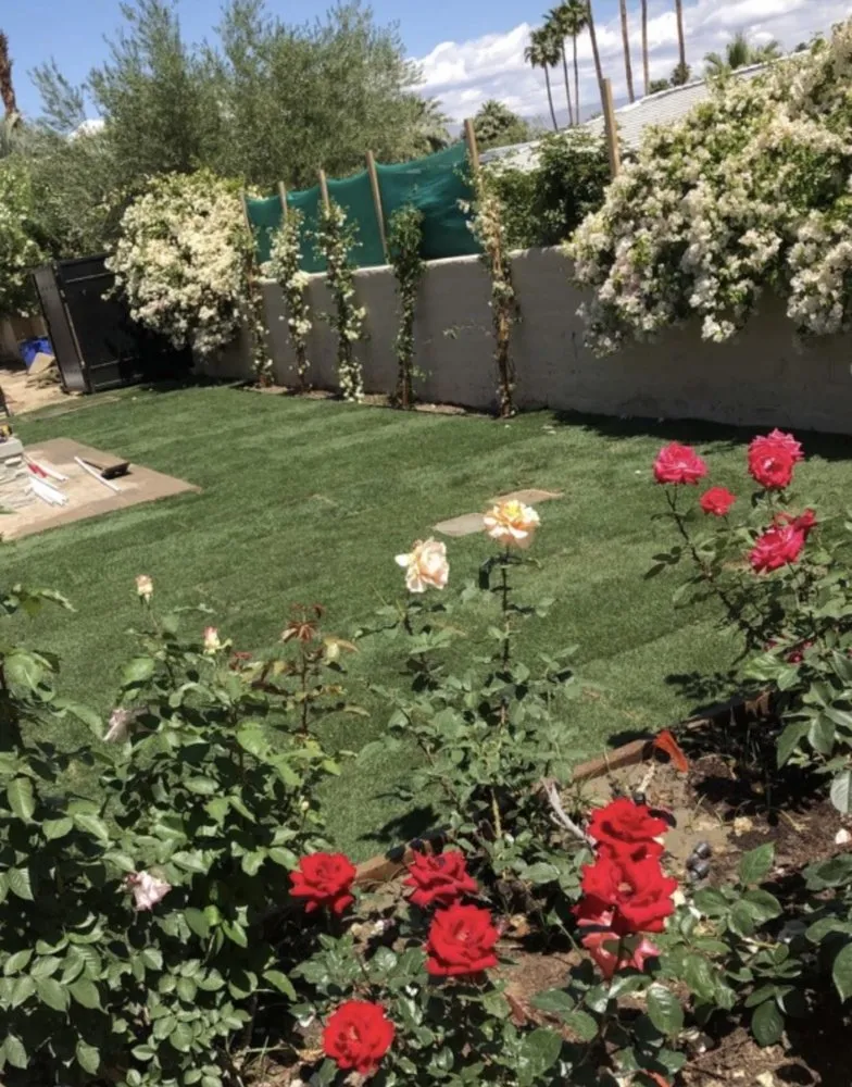Custom yard cleanup service experts serving Cathedral City, CA - I.C Gardening