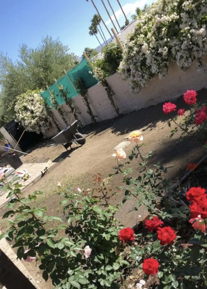 Trusted landscape installation near you in Cathedral City, CA by I.C Gardening