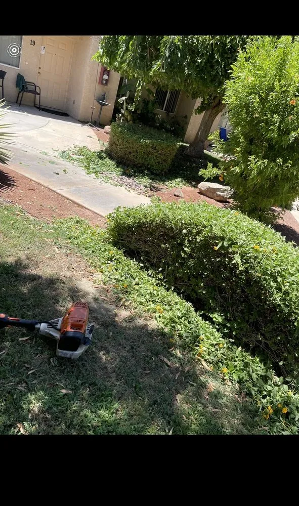 Affordable garden landscaping experts serving Cathedral City, CA - I.C Gardening