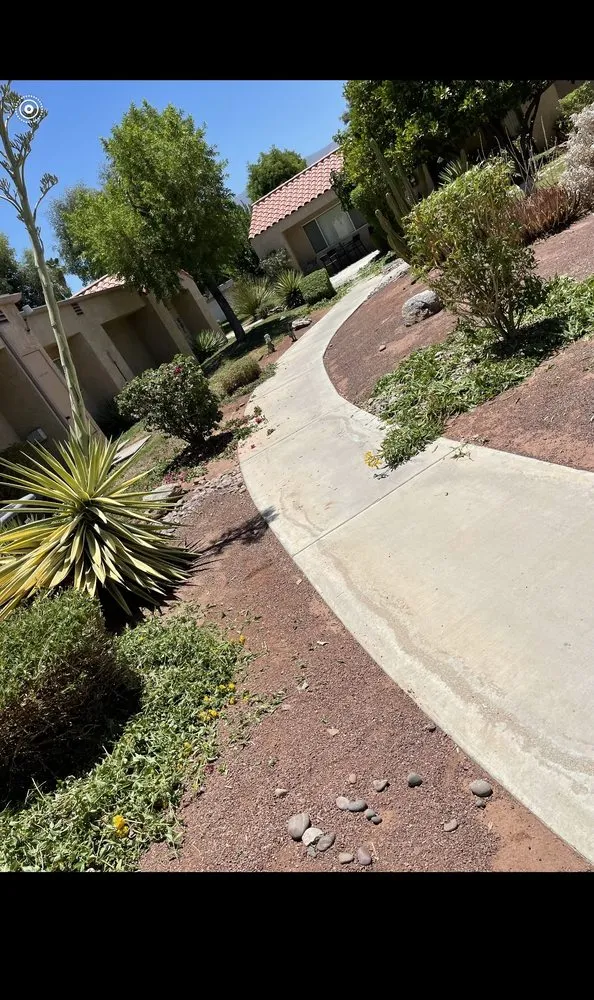 Custom yard maintenance for homes in Cathedral City, CA by I.C Gardening