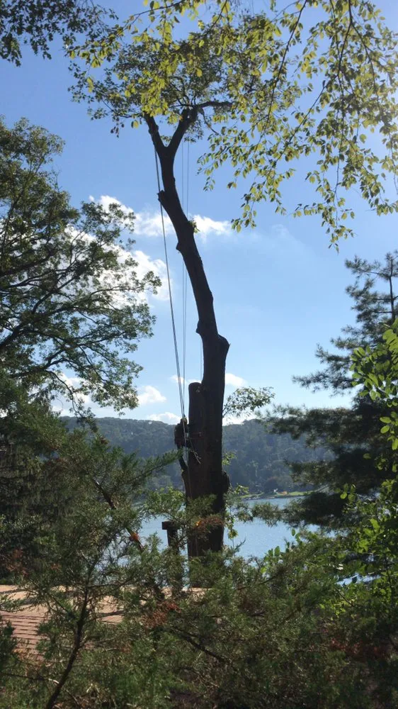 Professional lawn care service in Danbury, CT by IC Landscaping and Tree Works