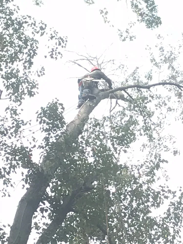 Affordable lawn mowing service in Danbury, CT - IC Landscaping and Tree Works