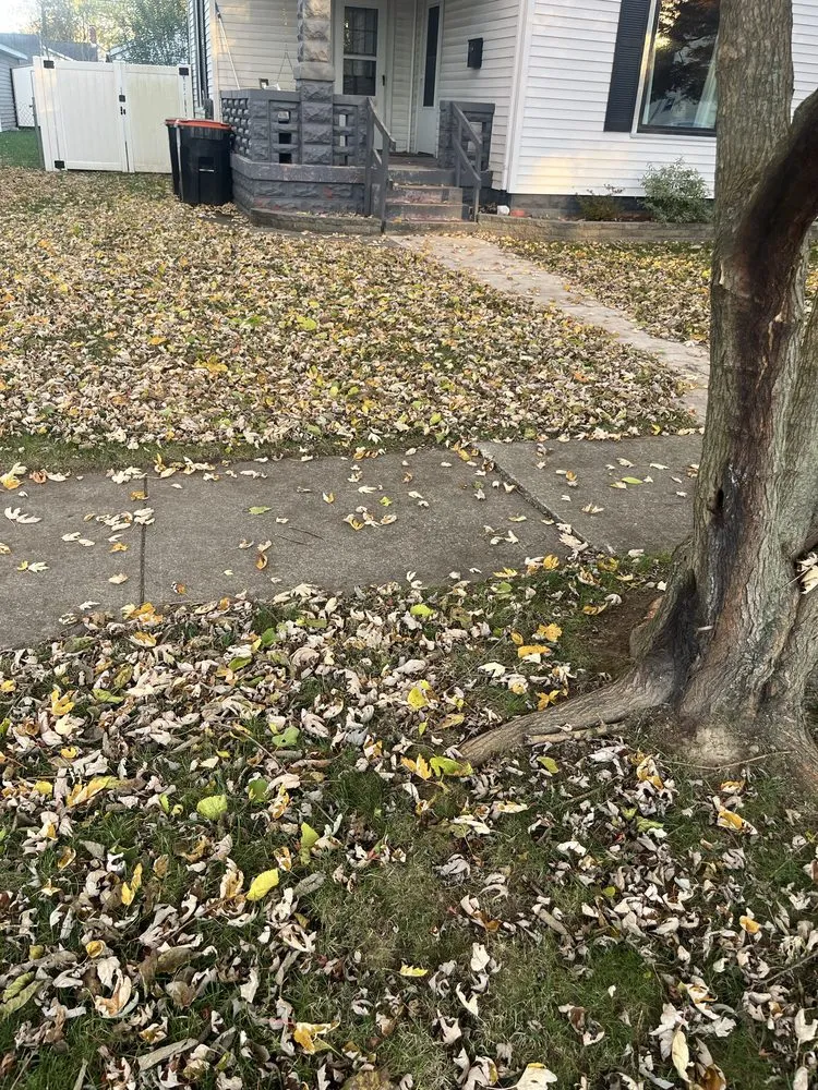 Local yard maintenance experts serving Newark, OH - IC Property Services