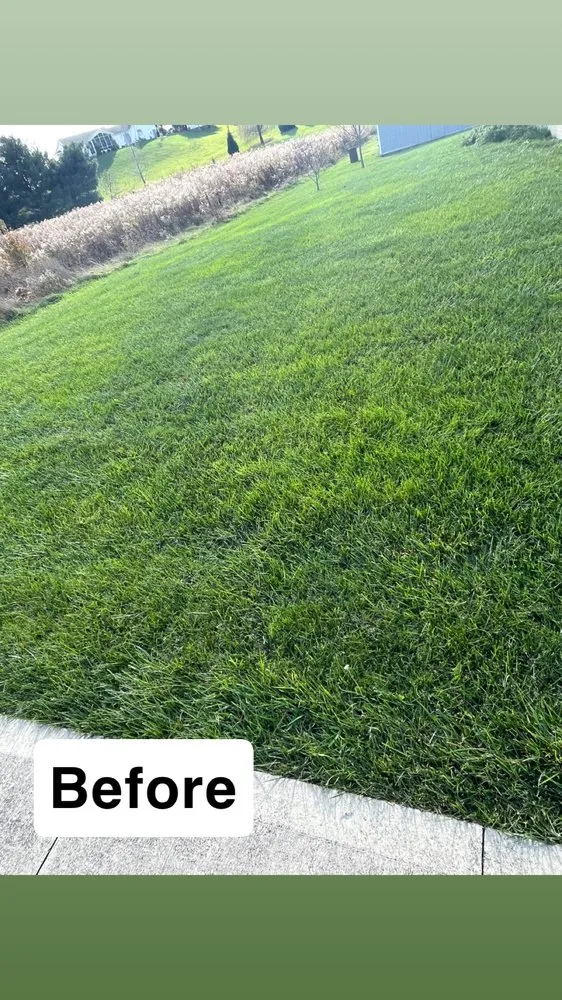 Reliable yard maintenance in Newark, OH - IC Property Services