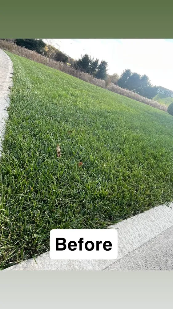 Trusted landscape design for year-round maintenance across Newark, OH - IC Property Services