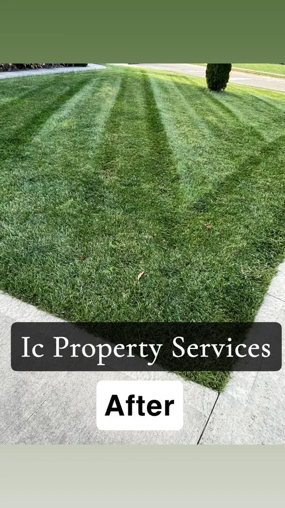 Local yard cleanup service experts serving Newark, OH - IC Property Services