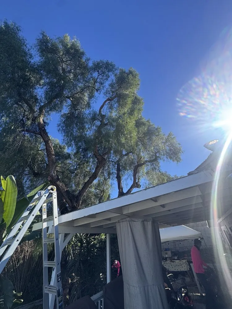 Custom outdoor landscaping in San Diego, CA by IC Trees