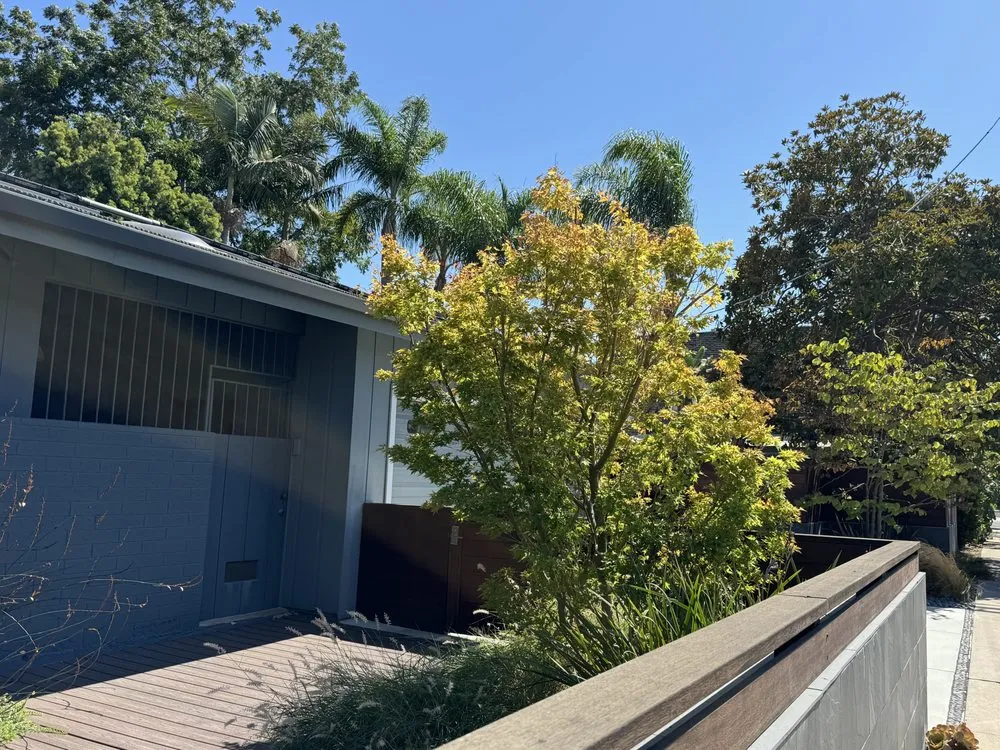 Trusted outdoor landscaping experts serving San Diego, CA - IC Trees