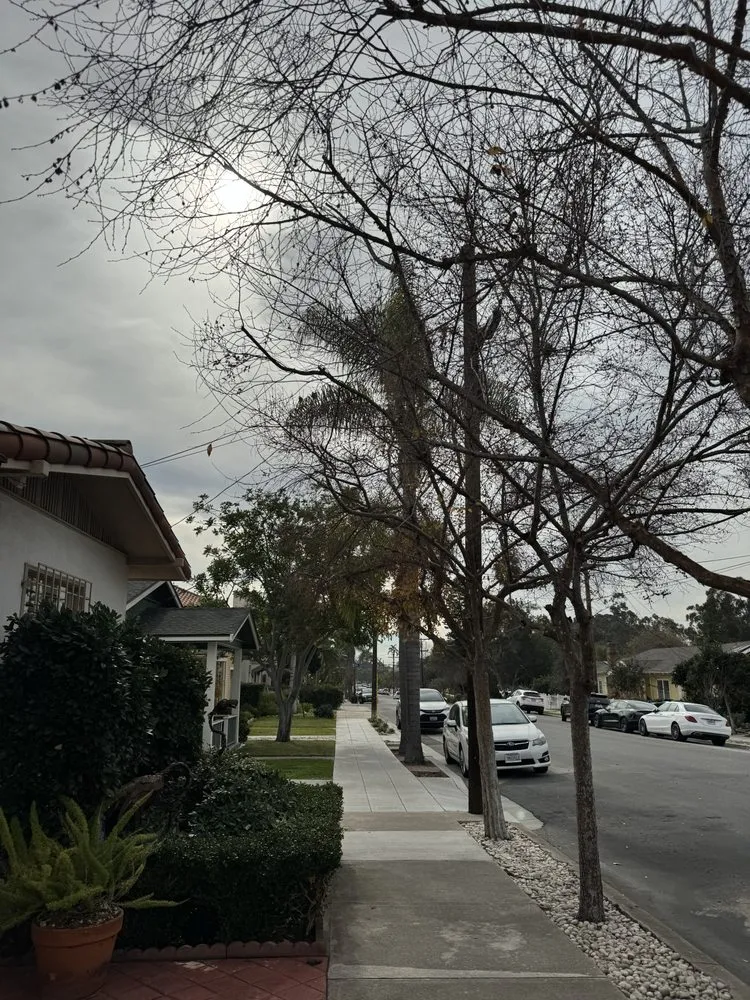 Expert outdoor landscaping near you across San Diego, CA - IC Trees