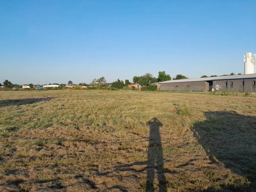 Professional outdoor landscaping for year-round maintenance in Spring, TX by iCanDigIt