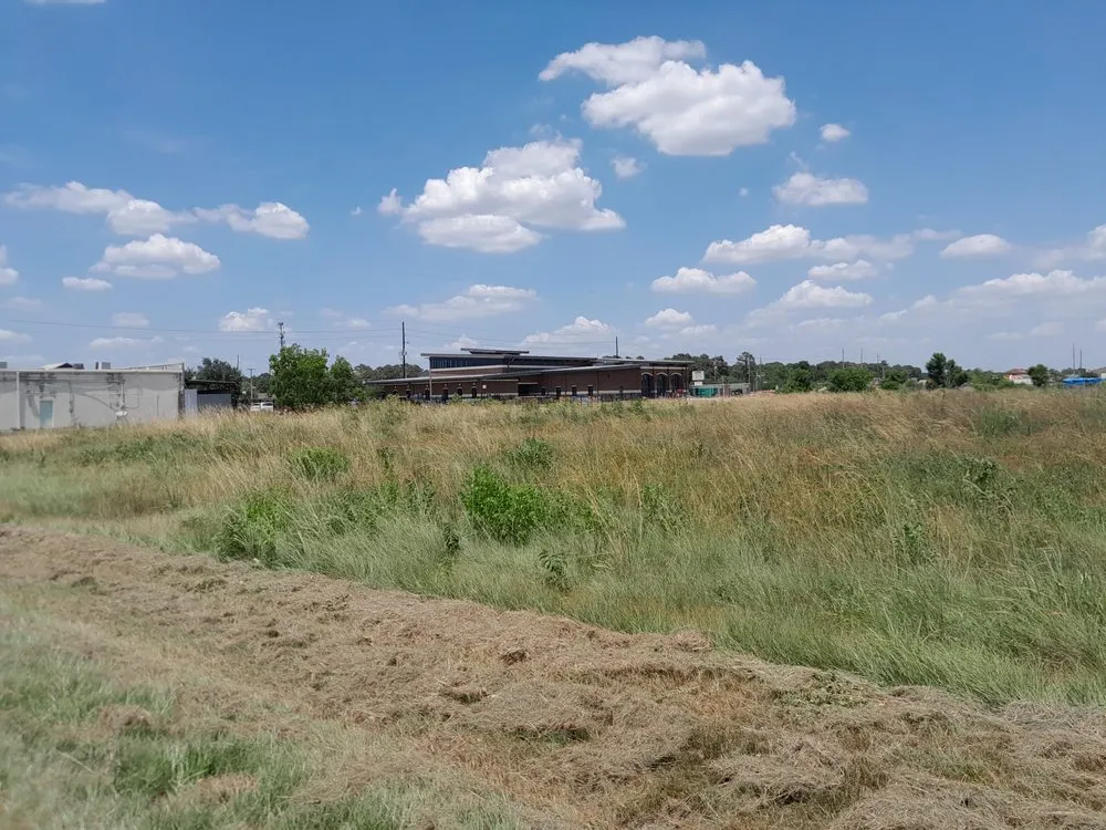 Top-rated landscape design experts serving Spring, TX - iCanDigIt