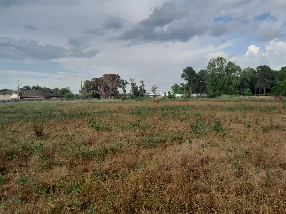 Professional landscape design with custom design in Spring, TX by iCanDigIt