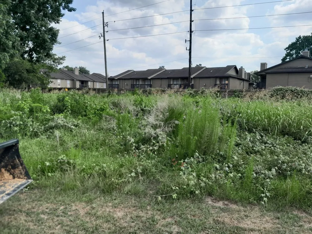 Trusted garden landscaping for year-round maintenance in Spring, TX by iCanDigIt