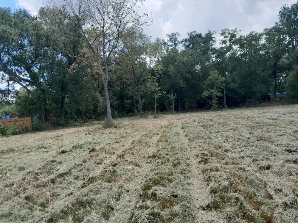 Local landscape design for residential properties in Spring, TX by iCanDigIt