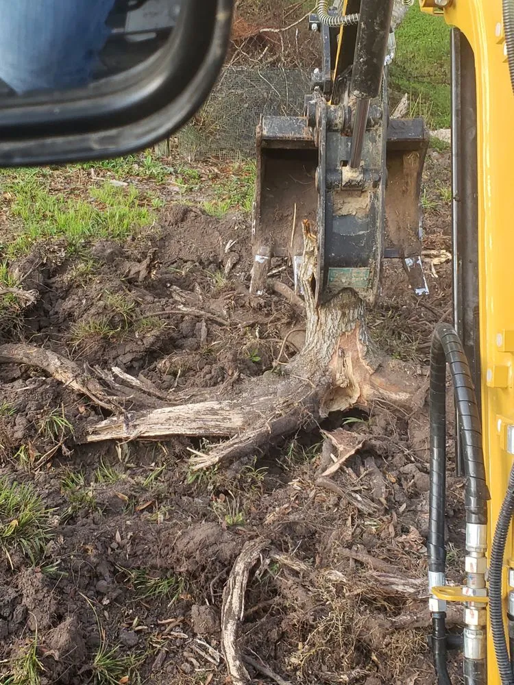 Top-rated landscape design for outdoor upgrades in Spring, TX by iCanDigIt