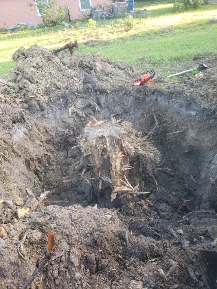 Expert lawn mowing service for outdoor upgrades in Spring, TX by iCanDigIt