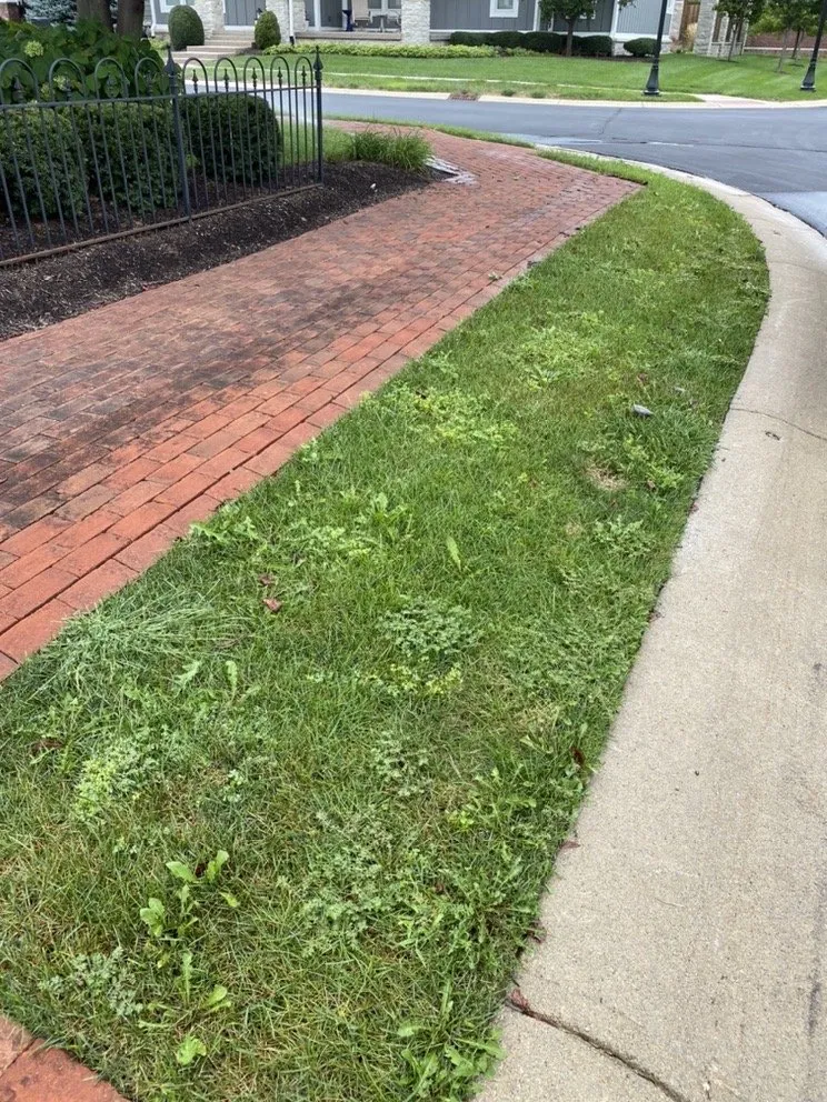 Professional outdoor landscaping for homes across Carmel, IN - iCare Lawn Care