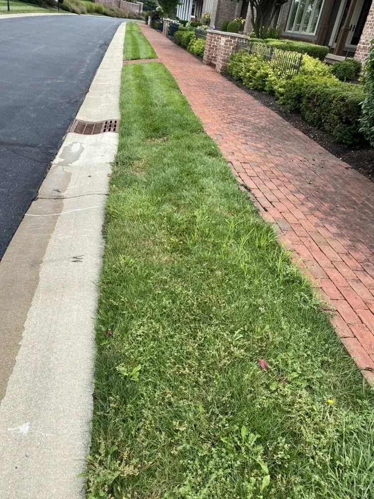 Trusted lawn care service in Carmel, IN - iCare Lawn Care