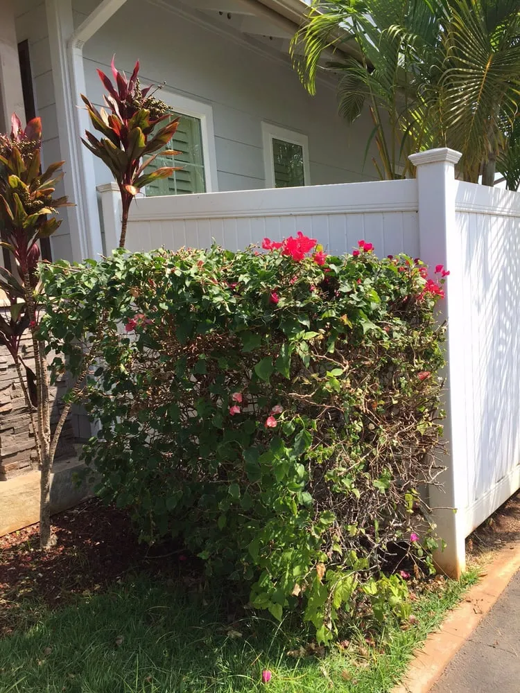 Top-rated garden landscaping experts serving Ewa Beach, HI - iCare Services