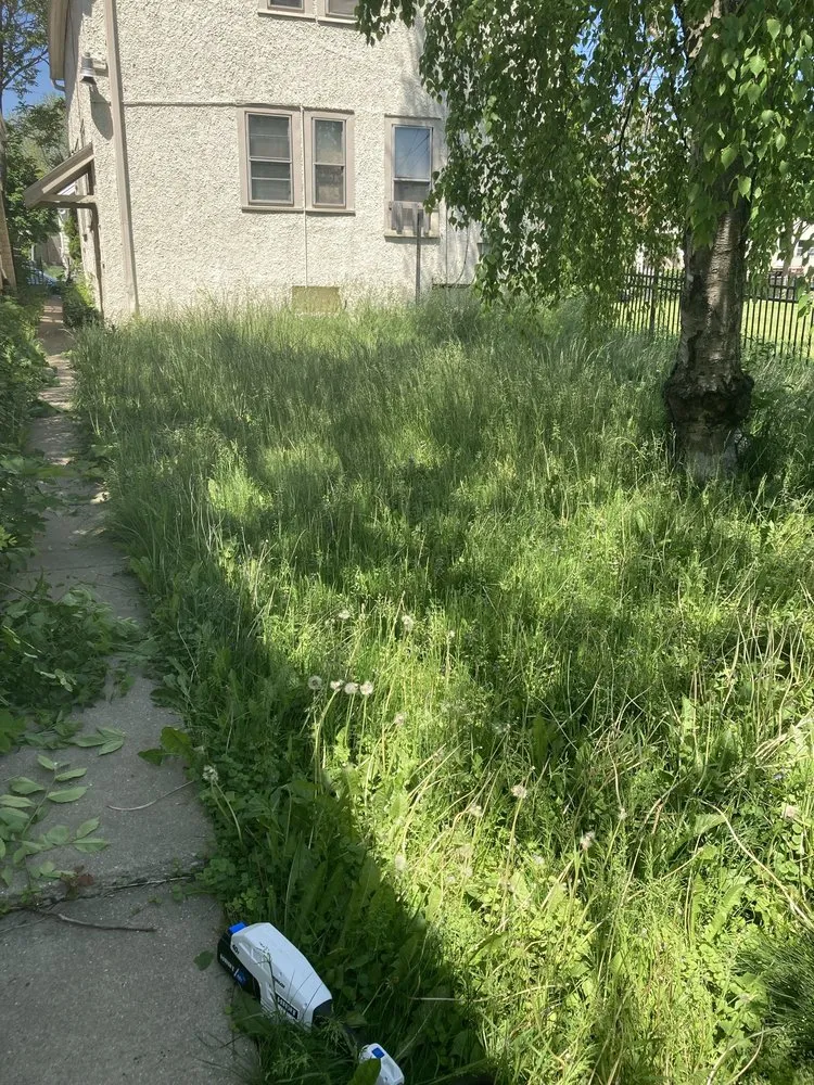 Expert yard cleanup service with custom design across Milwaukee, WI - I.C.E Lawncare and snow removal