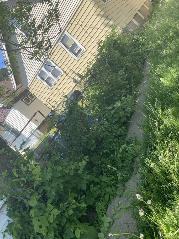 Expert lawn care service in Milwaukee, WI - I.C.E Lawncare and snow removal