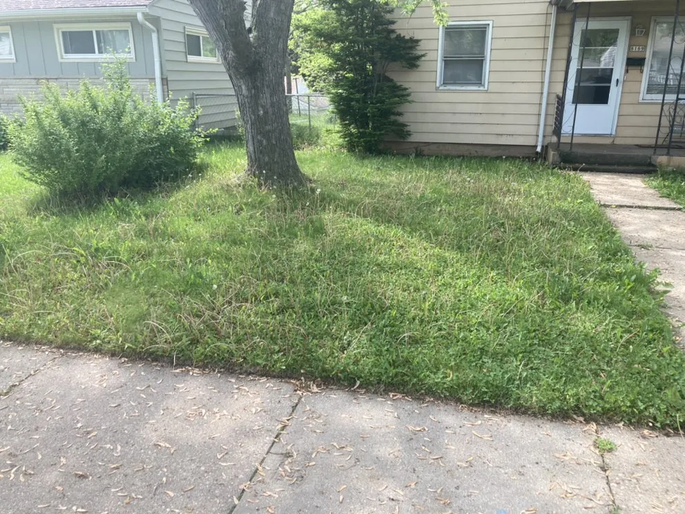 Top-rated yard cleanup service for homes in Milwaukee, WI by I.C.E Lawncare and snow removal