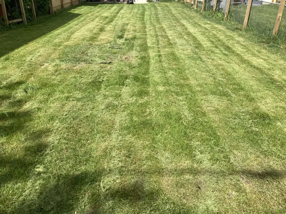 Reliable yard cleanup service in Milwaukee, WI - I.C.E Lawncare and snow removal