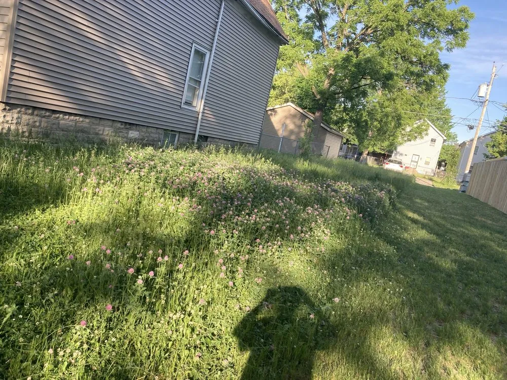 Top-rated yard cleanup service in Milwaukee, WI by I.C.E Lawncare and snow removal