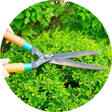 Professional lawn mowing service near you in Grand Prairie, TX by Ice Sum Lawn Care Plus