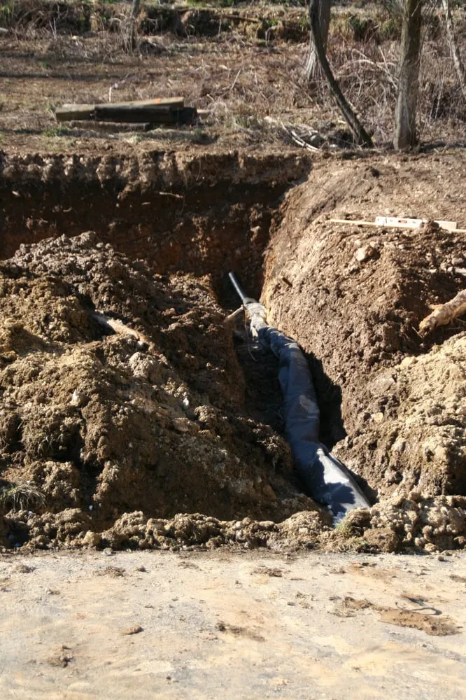 Trusted outdoor landscaping for outdoor upgrades across Westminster, MD - Ichabod's Tree Experts, Inc