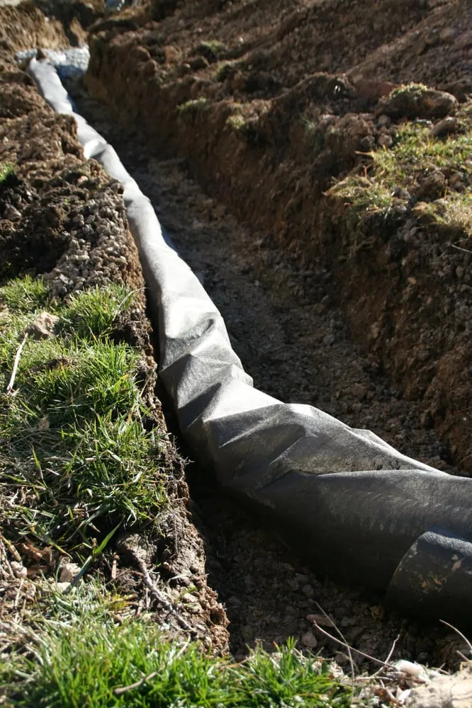 Professional lawn care service in Westminster, MD - Ichabod's Tree Experts, Inc