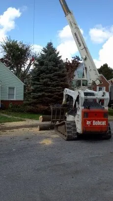 Reliable outdoor landscaping in Westminster, MD by Ichabod's Tree Experts, Inc