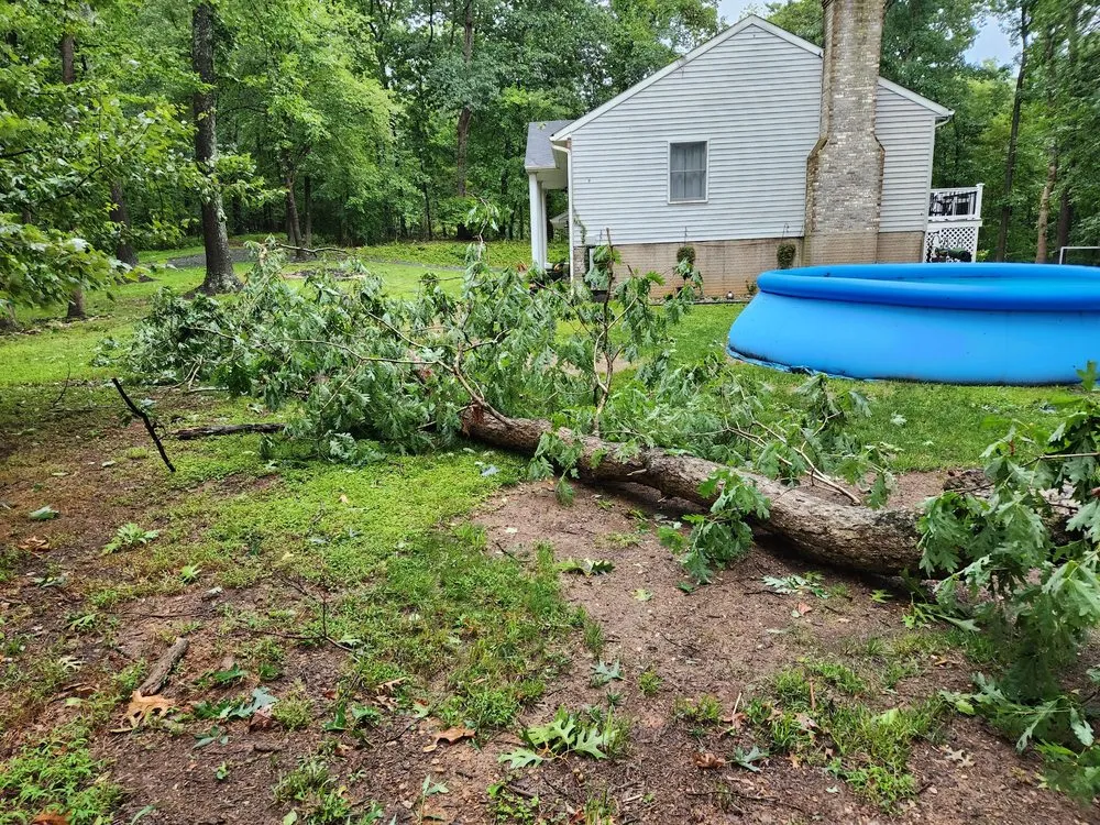 Professional lawn mowing service for outdoor upgrades in Westminster, MD by Ichabod's Tree Experts, Inc