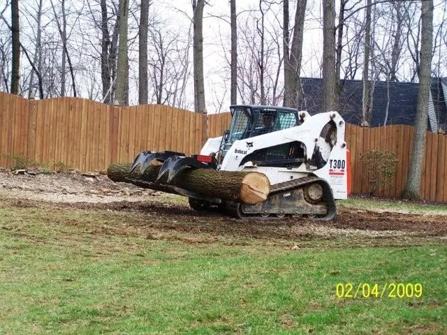 Professional yard maintenance experts serving Westminster, MD - Ichabod's Tree Experts, Inc