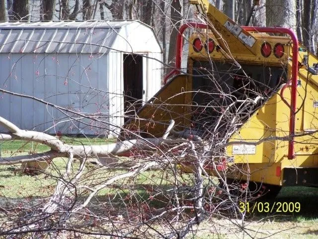 Custom landscape installation for residential properties across Westminster, MD - Ichabod's Tree Experts, Inc