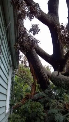 Expert outdoor landscaping near you across Westminster, MD - Ichabod's Tree Experts, Inc