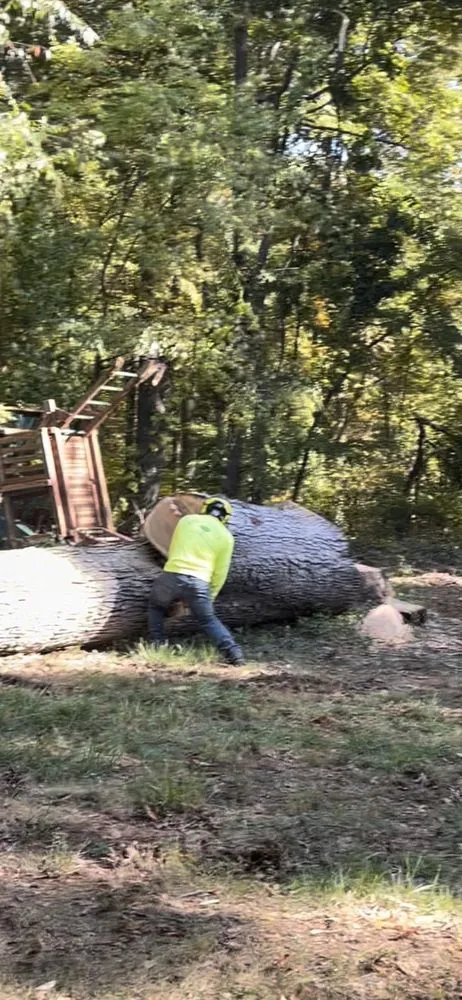 Professional lawn care service for beautiful yards in Westminster, MD by Ichabod's Tree Experts, Inc