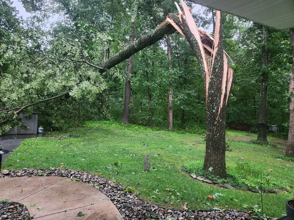 Expert yard maintenance near you in Westminster, MD by Ichabod's Tree Experts, Inc