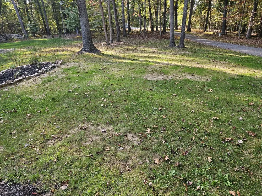 Affordable garden landscaping experts serving Westminster, MD - Ichabod's Tree Experts, Inc