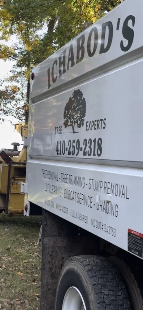 Local yard cleanup service in Westminster, MD by Ichabod's Tree Experts, Inc