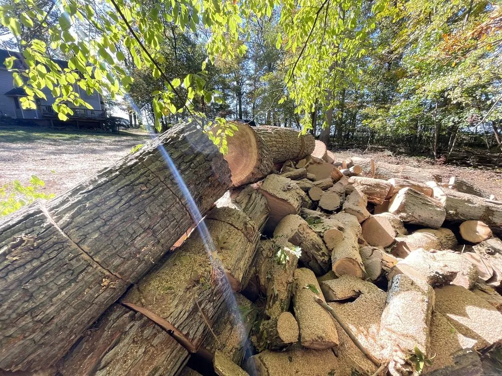 Custom yard cleanup service experts serving Westminster, MD - Ichabod's Tree Experts, Inc