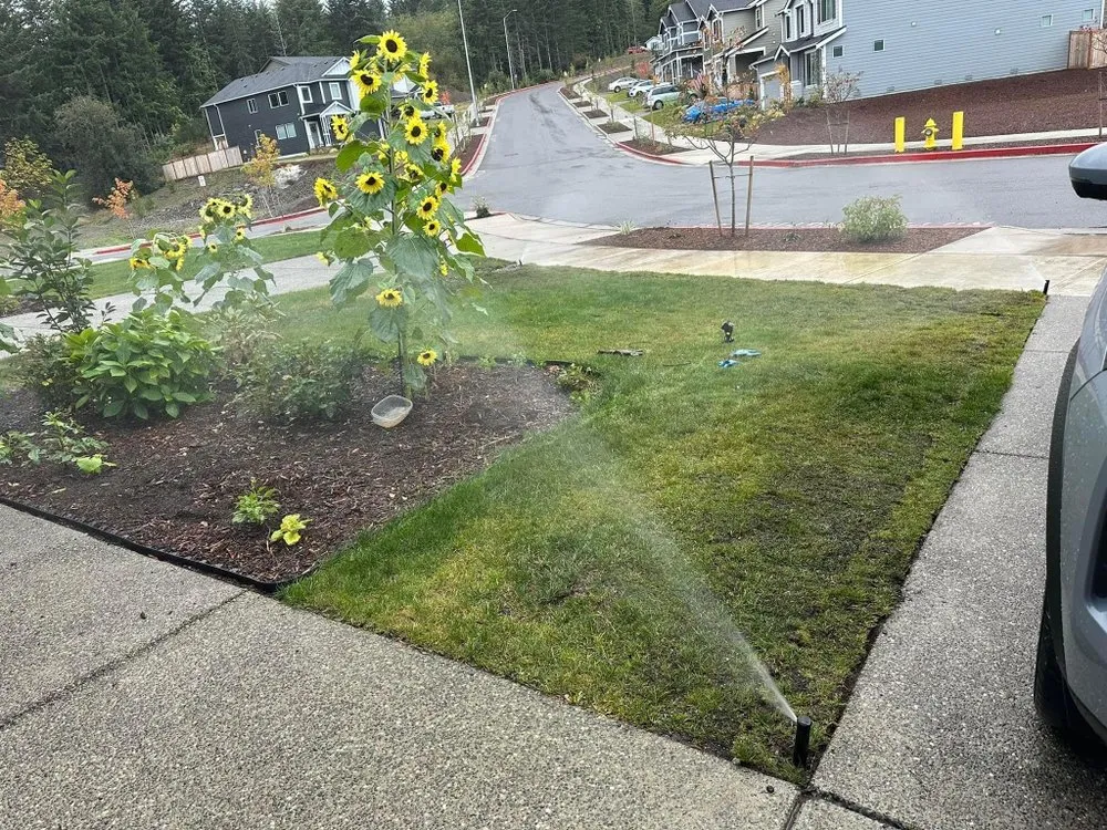 Local landscape design in Bremerton, WA - ICM General Contractor Landscaping