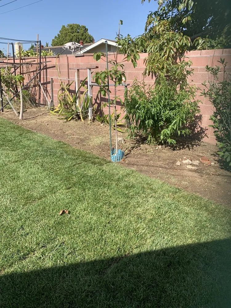 Top-rated lawn care service for homes across Stanton, CA - Icon Commercial Landscapes