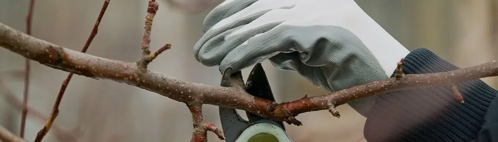 Custom lawn mowing service experts serving Bowie, MD - Icon landscape