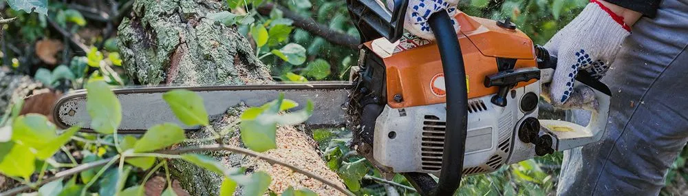 Trusted outdoor landscaping near you in Bowie, MD by Icon landscape